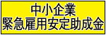 ������Ƌً}�ٗp���菕����