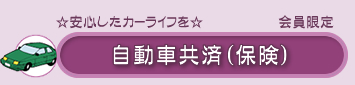 自動車共済(保険)